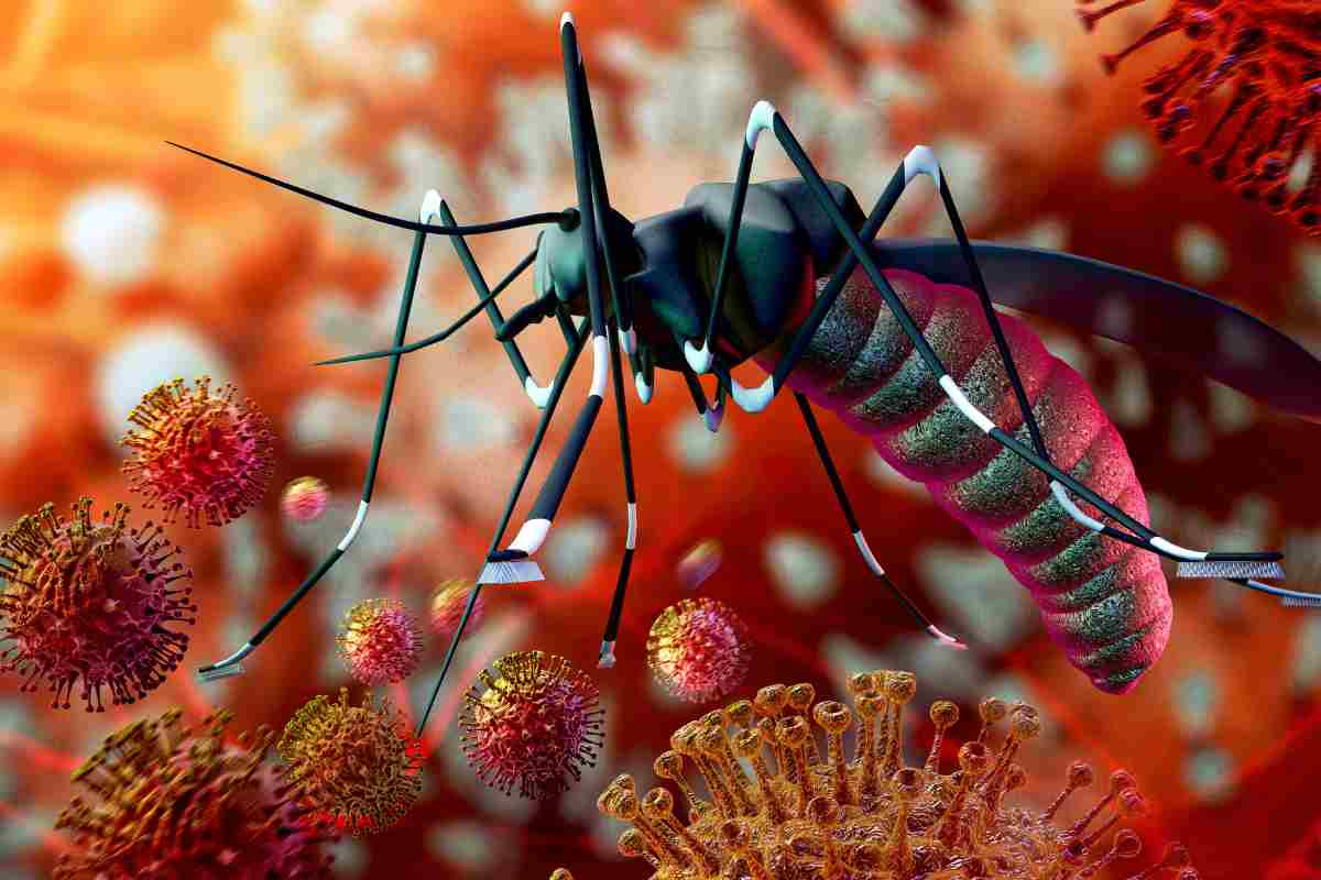 Virus Zika: ecco in che cosa consiste 
